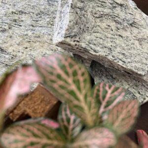 Pedra Madeira Branca